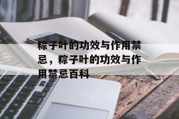 粽子叶的功效与作用禁忌，粽子叶的功效与作用禁忌百科-第1张图片-
