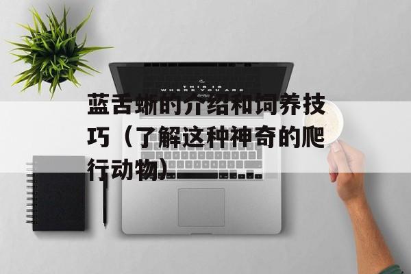蓝舌蜥的介绍和饲养技巧（了解这种神奇的爬行动物）-第1张图片-