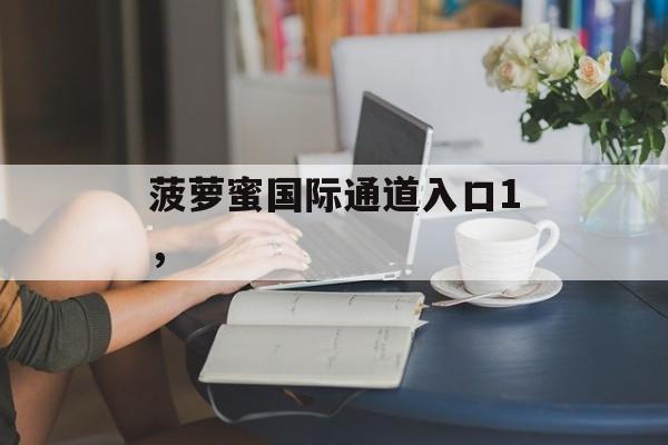 菠萝蜜国际通道入口1，-第1张图片-