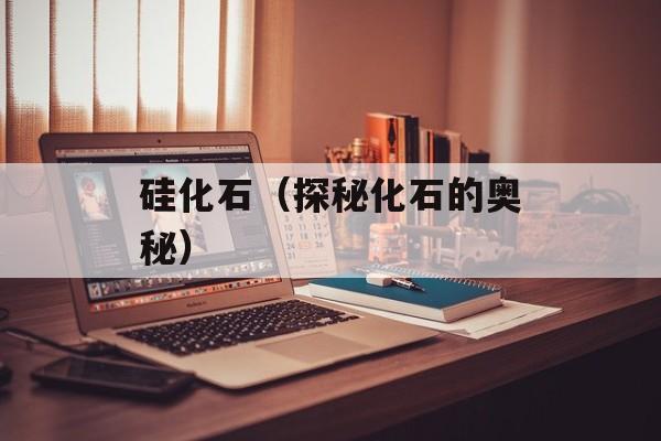 硅化石（探秘化石的奥秘）-第1张图片-