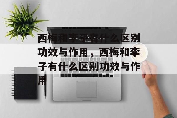 西梅和李子有什么区别功效与作用，西梅和李子有什么区别功效与作用-第1张图片-