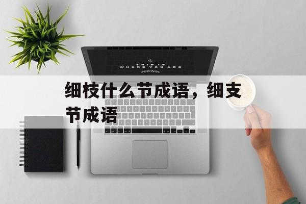 细枝什么节成语，细支节成语-第1张图片-