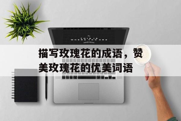 描写玫瑰花的成语，赞美玫瑰花的优美词语-第1张图片-