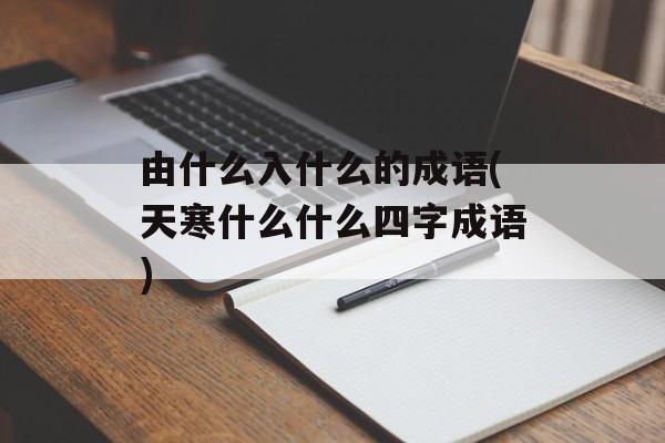 由什么入什么的成语(天寒什么什么四字成语)-第1张图片-