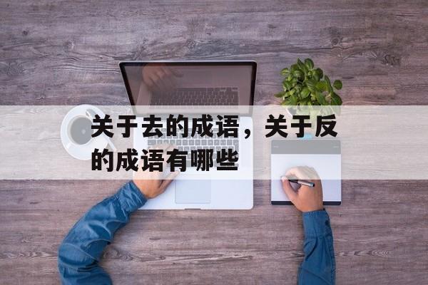 关于去的成语，关于反的成语有哪些-第1张图片-