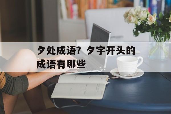 夕处成语？夕字开头的成语有哪些-第1张图片-