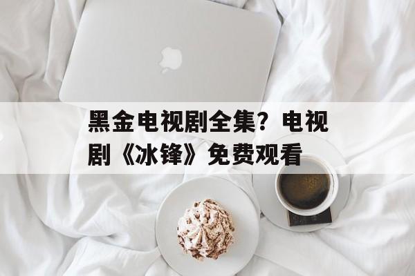 黑金电视剧全集？电视剧《冰锋》免费观看-第1张图片-
