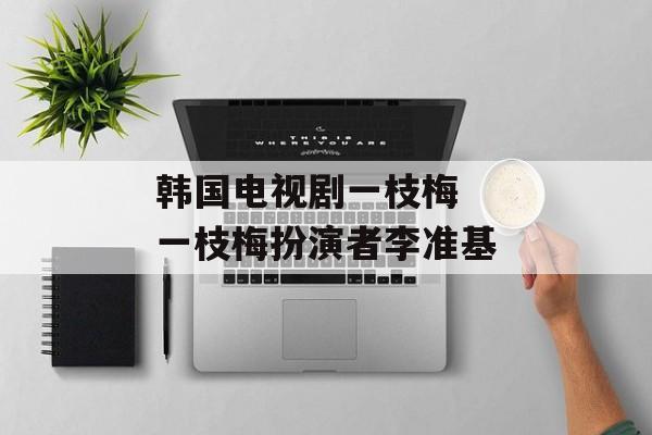 韩国电视剧一枝梅  一枝梅扮演者李准基-第1张图片-