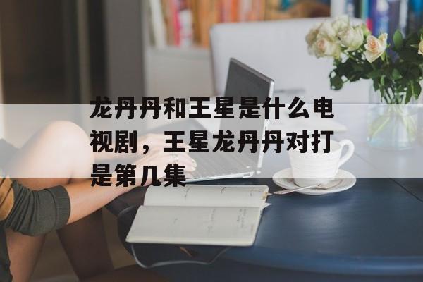 龙丹丹和王星是什么电视剧，王星龙丹丹对打是第几集-第1张图片-