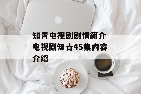 知青电视剧剧情简介 电视剧知青45集内容介绍-第1张图片-