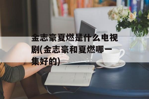 金志豪夏燃是什么电视剧(金志豪和夏燃哪一集好的)-第1张图片-
