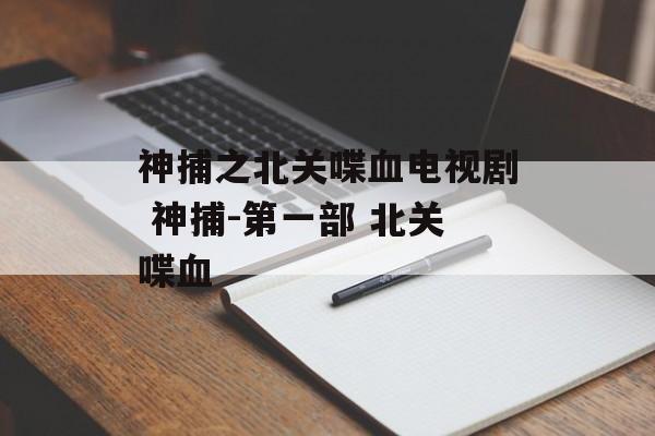 神捕之北关喋血电视剧 神捕-第一部 北关喋血-第1张图片-