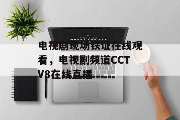 电视剧现场铁证在线观看，电视剧频道CCTV8在线直播-第1张图片-