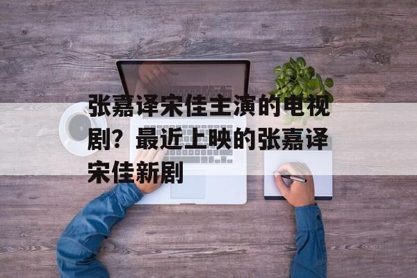 张嘉译宋佳主演的电视剧？最近上映的张嘉译宋佳新剧-第1张图片-