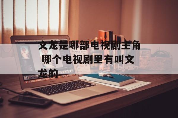 文龙是哪部电视剧主角 哪个电视剧里有叫文龙的-第1张图片-