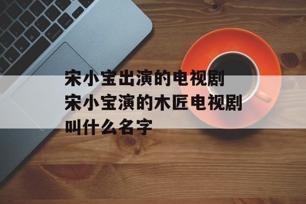 宋小宝出演的电视剧 宋小宝演的木匠电视剧叫什么名字-第1张图片-