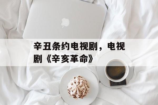 辛丑条约电视剧，电视剧《辛亥革命》-第1张图片-