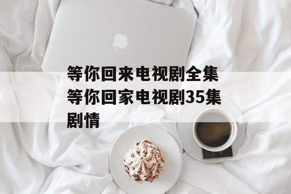 等你回来电视剧全集 等你回家电视剧35集剧情-第1张图片-