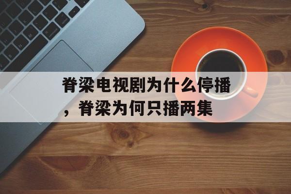 脊梁电视剧为什么停播，脊梁为何只播两集-第1张图片-