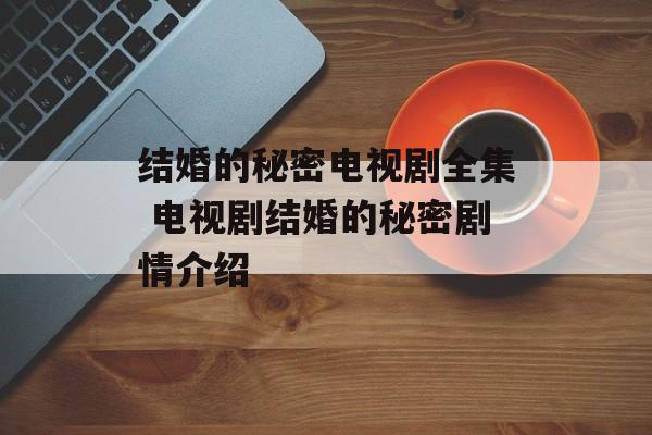 结婚的秘密电视剧全集 电视剧结婚的秘密剧情介绍-第1张图片-