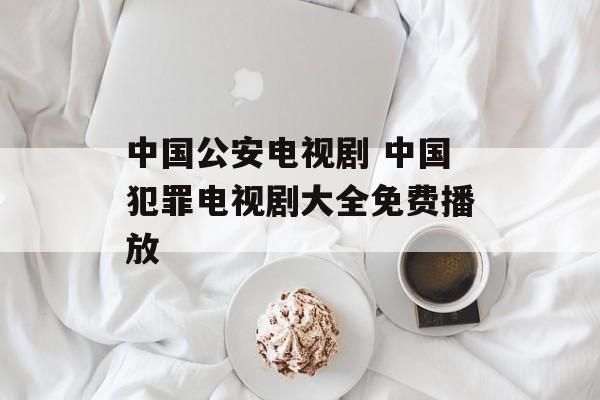 中国公安电视剧 中国犯罪电视剧大全免费播放-第1张图片-