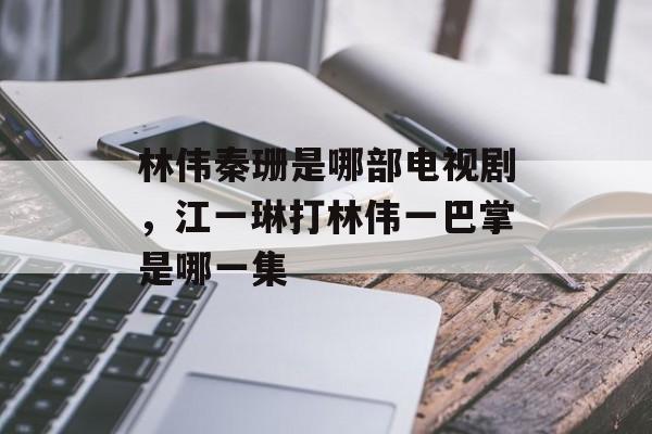林伟秦珊是哪部电视剧，江一琳打林伟一巴掌是哪一集-第1张图片-
