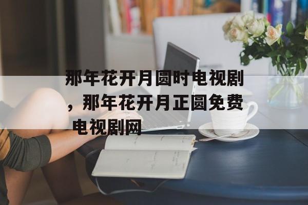 那年花开月圆时电视剧，那年花开月正圆免费 电视剧网-第1张图片-