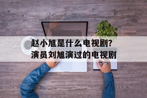 赵小旭是什么电视剧？演员刘旭演过的电视剧-第1张图片-