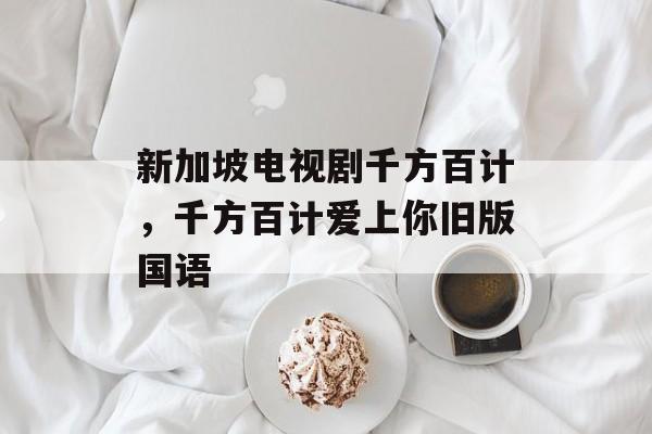 新加坡电视剧千方百计，千方百计爱上你旧版国语-第1张图片-