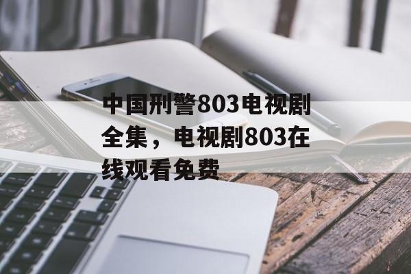 中国刑警803电视剧全集，电视剧803在线观看免费-第1张图片-