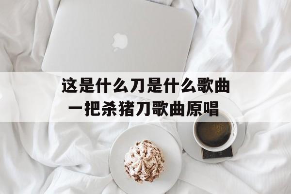 这是什么刀是什么歌曲 一把杀猪刀歌曲原唱-第1张图片-