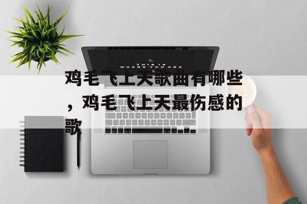鸡毛飞上天歌曲有哪些，鸡毛飞上天最伤感的歌-第1张图片-