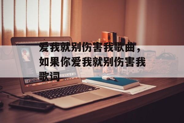 爱我就别伤害我歌曲，如果你爱我就别伤害我歌词-第1张图片-
