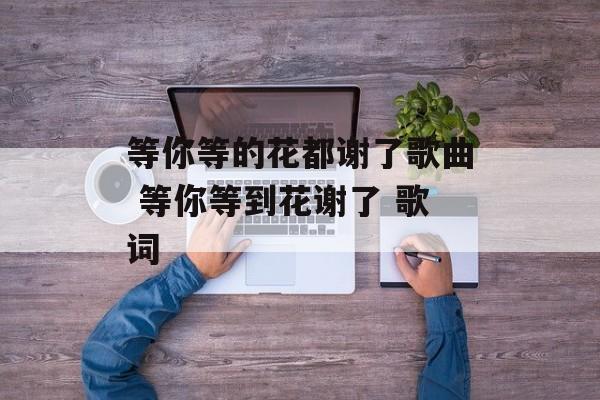 等你等的花都谢了歌曲 等你等到花谢了 歌词-第1张图片-