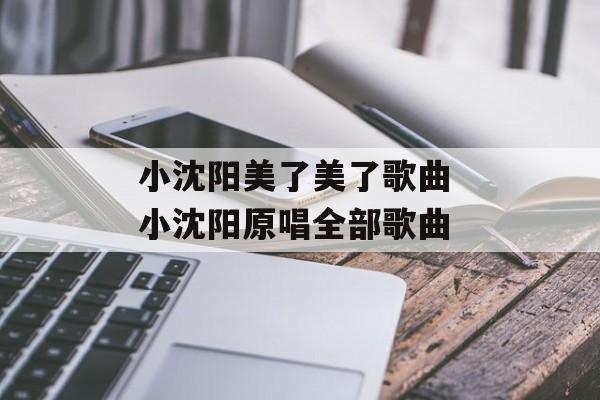 小沈阳美了美了歌曲 小沈阳原唱全部歌曲-第1张图片-