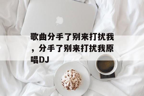 歌曲分手了别来打扰我，分手了别来打扰我原唱DJ-第1张图片-