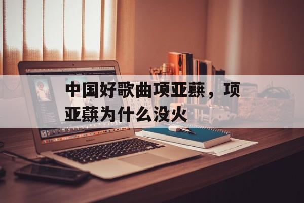 中国好歌曲项亚蕻，项亚蕻为什么没火-第1张图片-