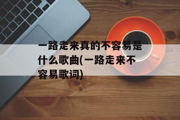 一路走来真的不容易是什么歌曲(一路走来不容易歌词)-第1张图片-