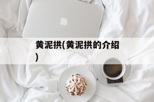 黄泥拱(黄泥拱的介绍)-第1张图片-