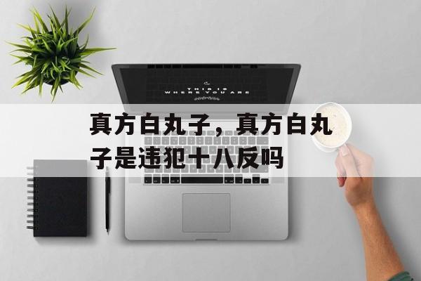 真方白丸子，真方白丸子是违犯十八反吗-第1张图片-