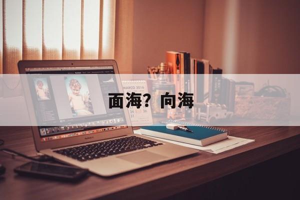 面海？向海-第1张图片-