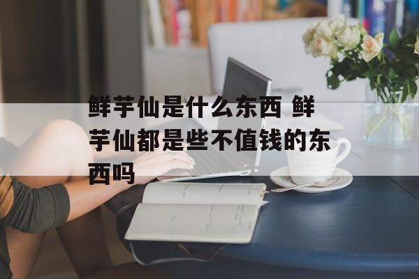 鲜芋仙是什么东西 鲜芋仙都是些不值钱的东西吗-第1张图片-