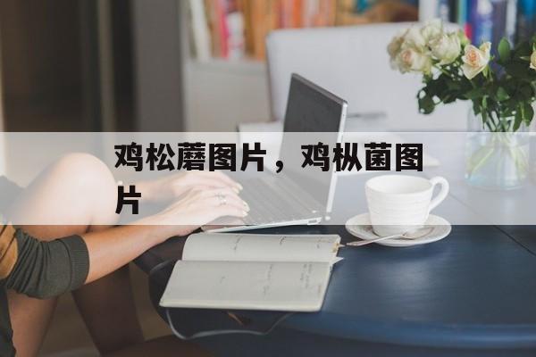 鸡松蘑图片，鸡枞菌图片-第1张图片-