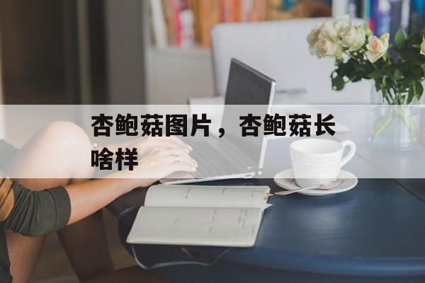 杏鲍菇图片，杏鲍菇长啥样-第1张图片-