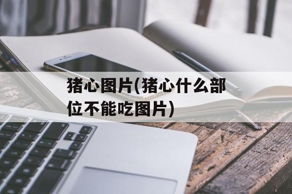 猪心图片(猪心什么部位不能吃图片)-第1张图片-