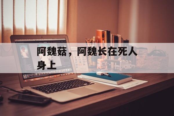 阿魏菇，阿魏长在死人身上-第1张图片-