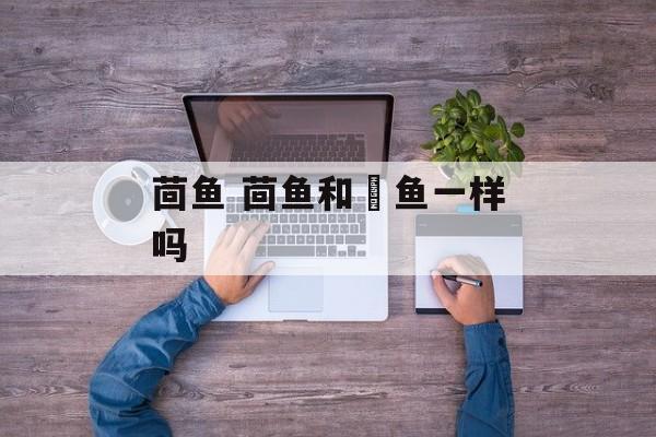 茴鱼 茴鱼和鮰鱼一样吗-第1张图片-