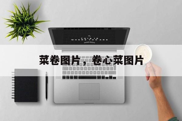 菜卷图片，卷心菜图片-第1张图片-