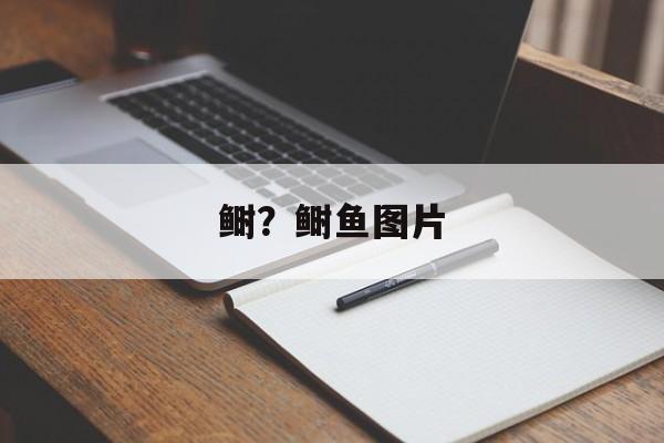 鲥？鲥鱼图片-第1张图片-