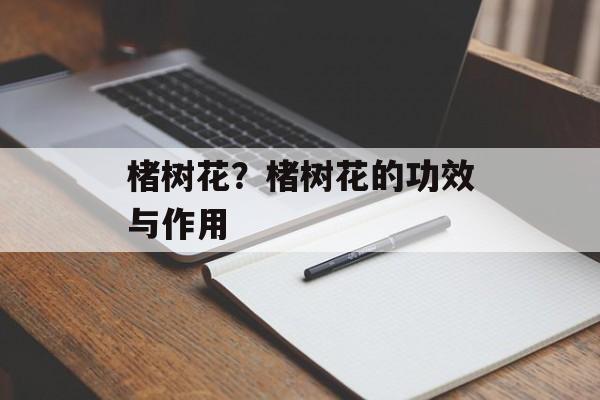 楮树花？楮树花的功效与作用-第1张图片-